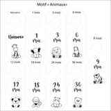 Séparateur penderie à l’unité